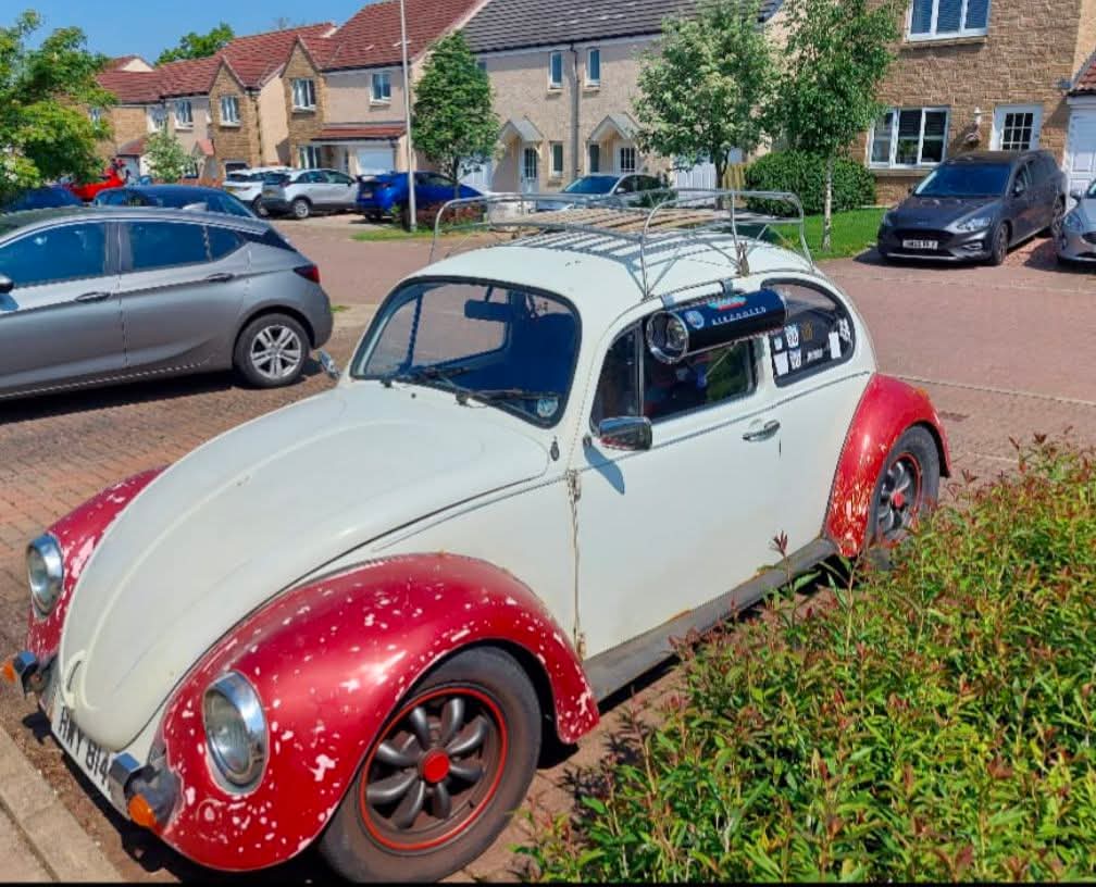 Patina Beetle installation
