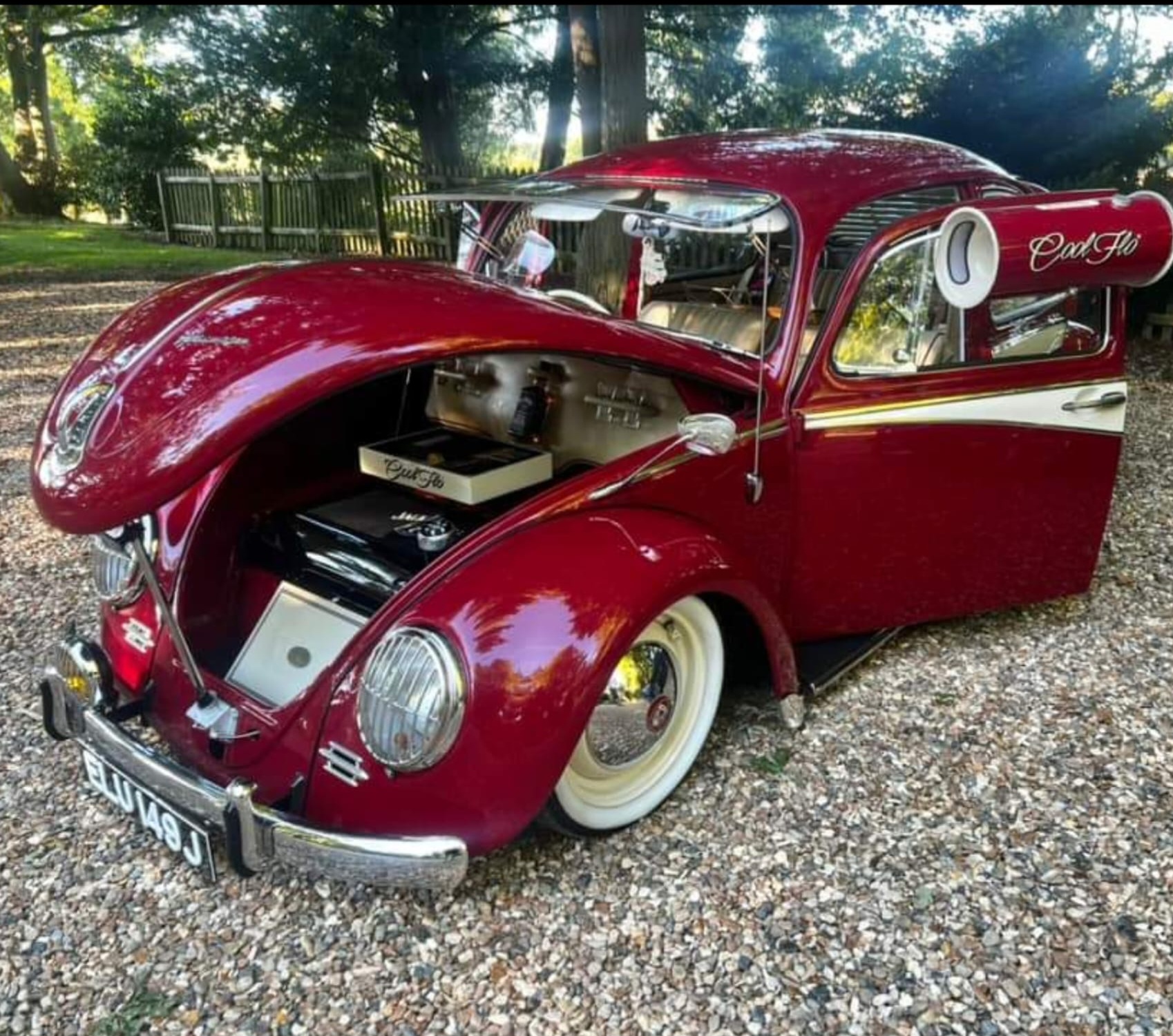 Red Beetle installation