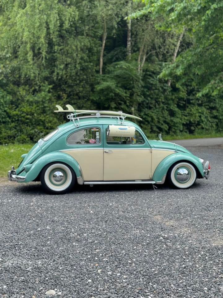 Turquoise Beetle installation